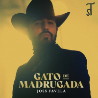 Gato de Madrugada (Single)