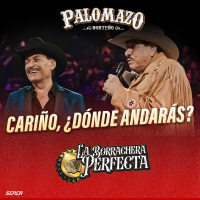 Cariño Dónde Andarás (En Vivo) (Single)