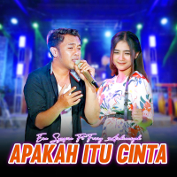 Apakah Itu Cinta (Single)