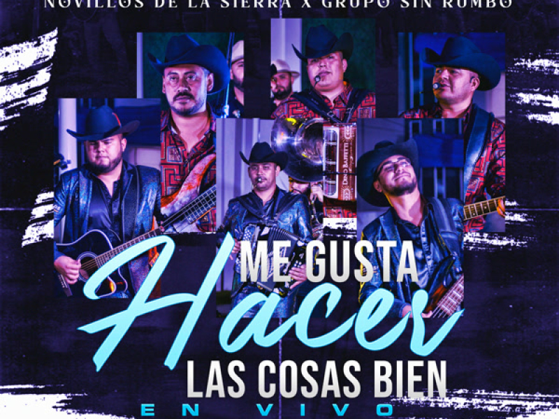 Me Gusta Hacer las Cosas Bien (Single)