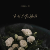 为什么欺骗我 (Single)