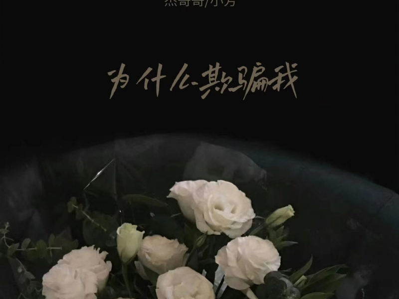 为什么欺骗我 (Single)