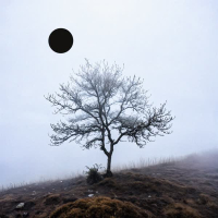 illusion (Feat. Eunyong Sim) (Single)