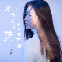 不懂我的伤别问我的泪 (Single)
