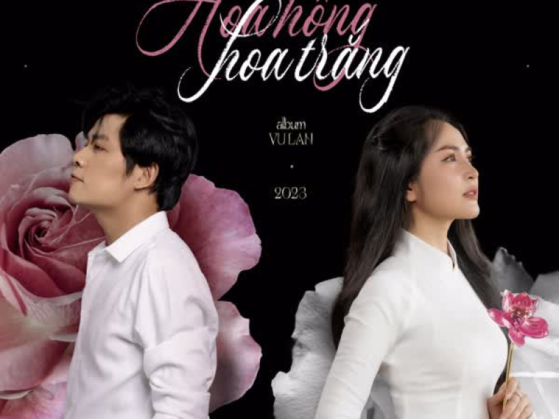 Hoa Hồng Hoa Trắng