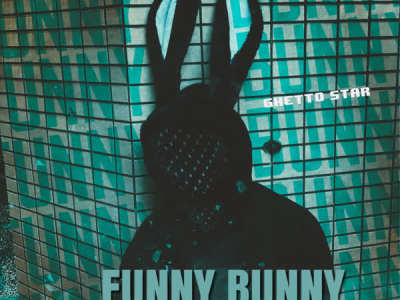 Funny Bunny (Single)
