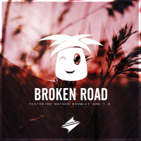 Broken Road (feat. Nathan Brumley) (with T.R) (Single)