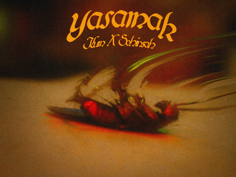 Yaşamak (Single)