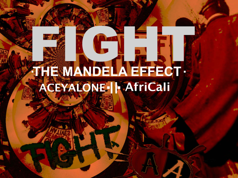 Fight! the Mandela Effect (Single)