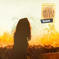 Señorita (Single)