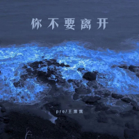 你不要离开 (Single)
