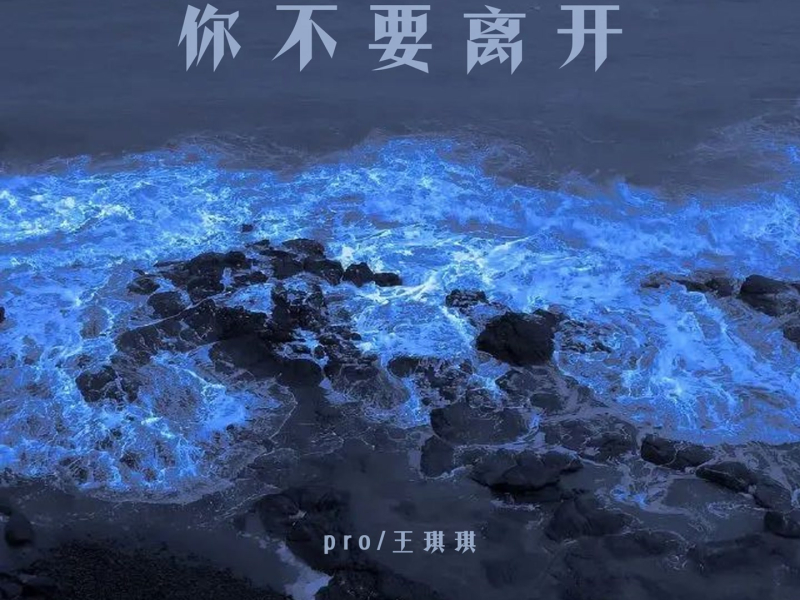 你不要离开 (Single)