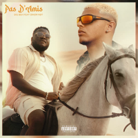 Pas d'amis (Single)