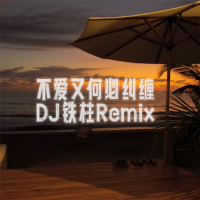 不爱又何必纠缠 (DJ铁柱Remix版) (Single)