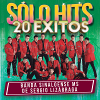 Sólo Hits (20 Éxitos)