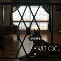 Adult Cool (Single)