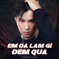 Em Đã Làm Gì Đêm Qua (Beat) (Single)