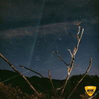 gravity (Feat. Ripley) (Emart Music Challenge) (Single)