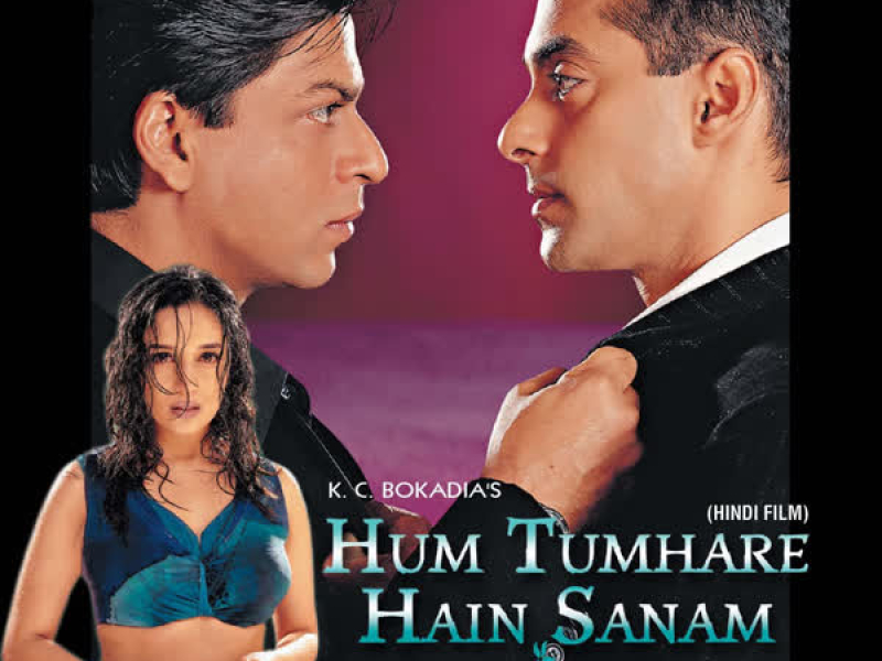 Hum Tumhare Hain Sanam