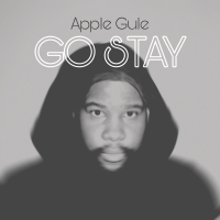 Go Stay (Single)