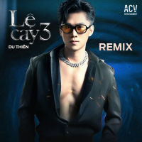 Lệ Cay 3 (Remix Vol 2)