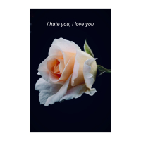 i hate you, i love you (Single)