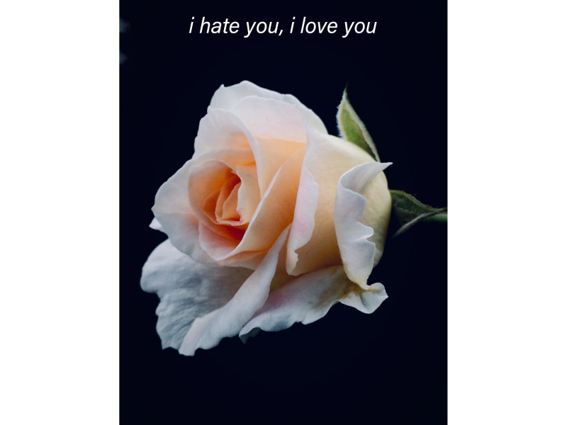 i hate you, i love you (Single)