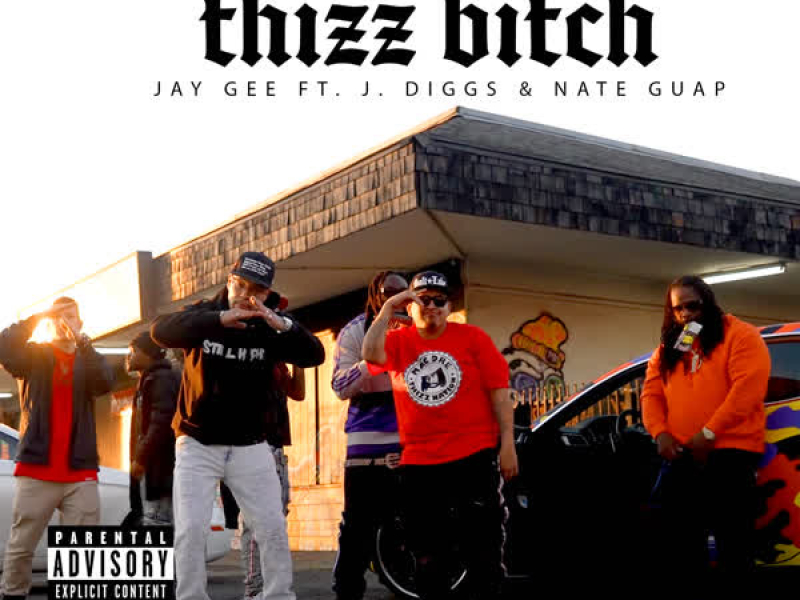 Thizz Bitch (feat. J Diggs & Nate Guap) (Single)