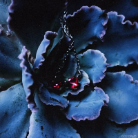 Tutu x Copines (Single)