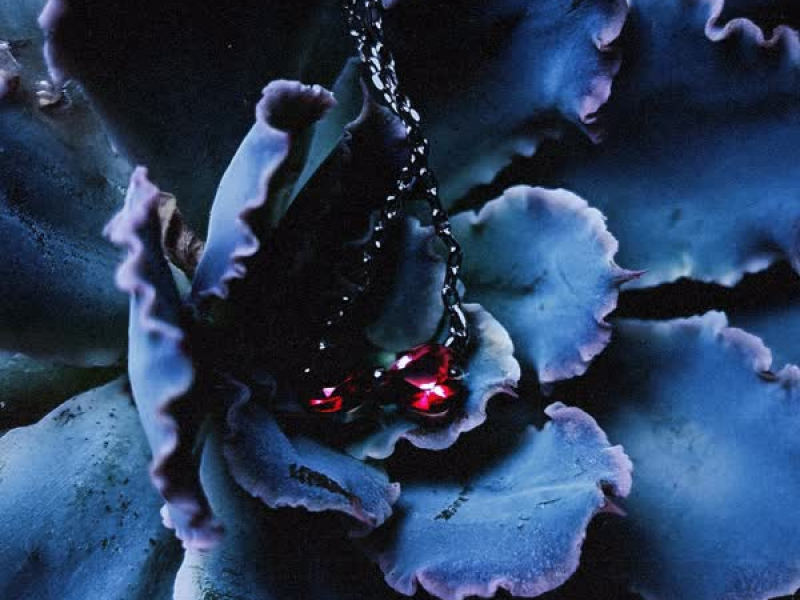 Tutu x Copines (Single)