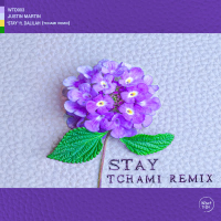 Stay (Tchami Remix) (Single)