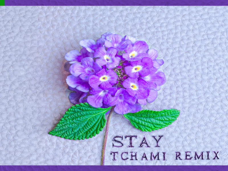 Stay (Tchami Remix) (Single)