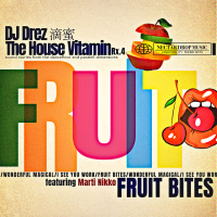 The House Vitamin Rx.4 (EP)