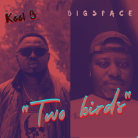 Two Birds (Single)