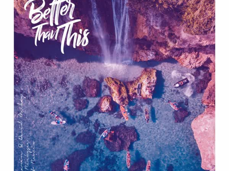 Better Than This (feat. Rickysee) [Zist Remix] (Single)