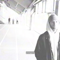 privilegeret (Single)