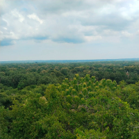 Future corpse (Acoustic) (Single)