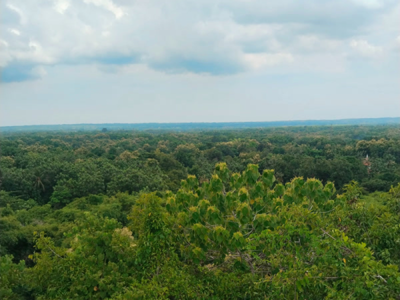 Future corpse (Acoustic) (Single)