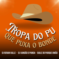 TROPA DO PU QUE PUXA O BONDE (Single)