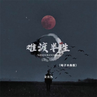 难渡半生 (电子木鱼版) (EP)