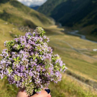 Cigarette Before the Soap (Single)