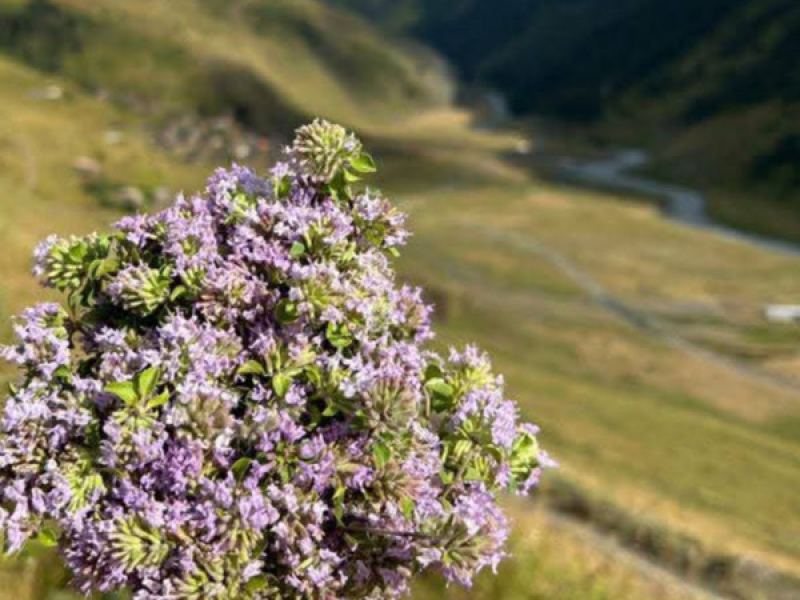 Cigarette Before the Soap (Single)