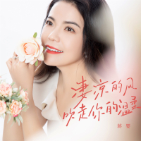 凄凉的风吹走你的温柔 (Single)