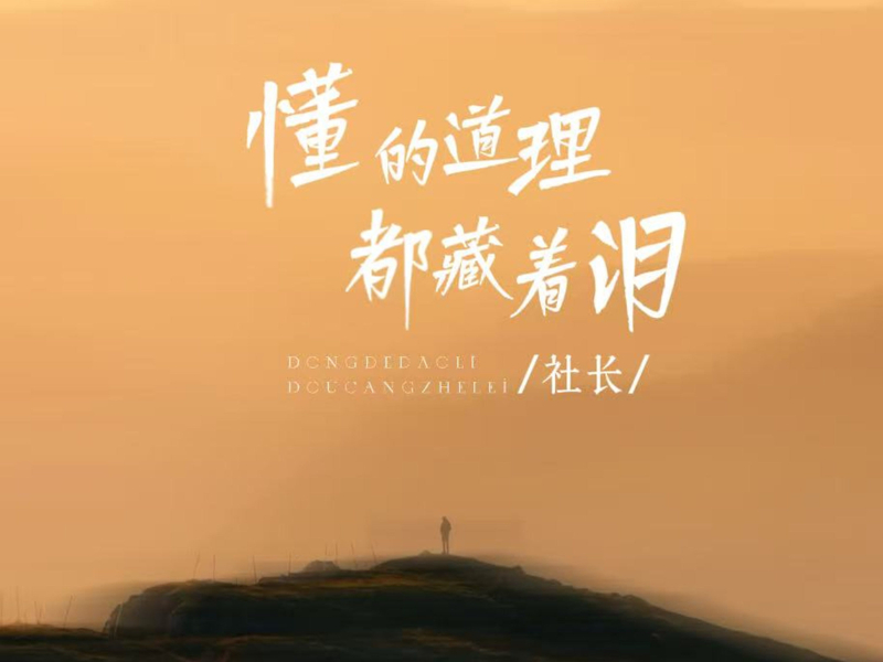 懂的道理都藏着泪 (Single)