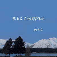 恨自己当初没留住你 (EP)