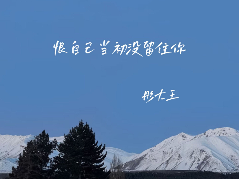 恨自己当初没留住你 (EP)