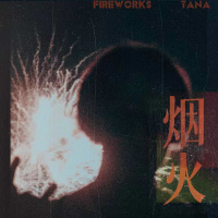 Fireworks (Single)