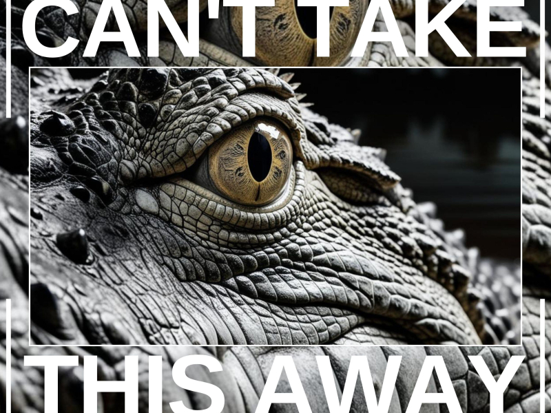 Can't Take This Away (Single)