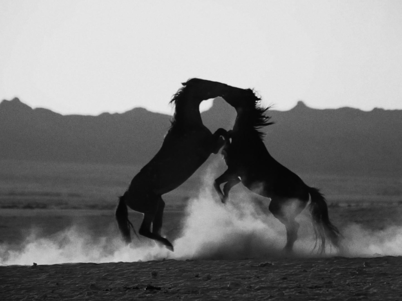 No Small Thing (MV) (Single)