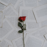 Jokes on you (Slowed) (Single)